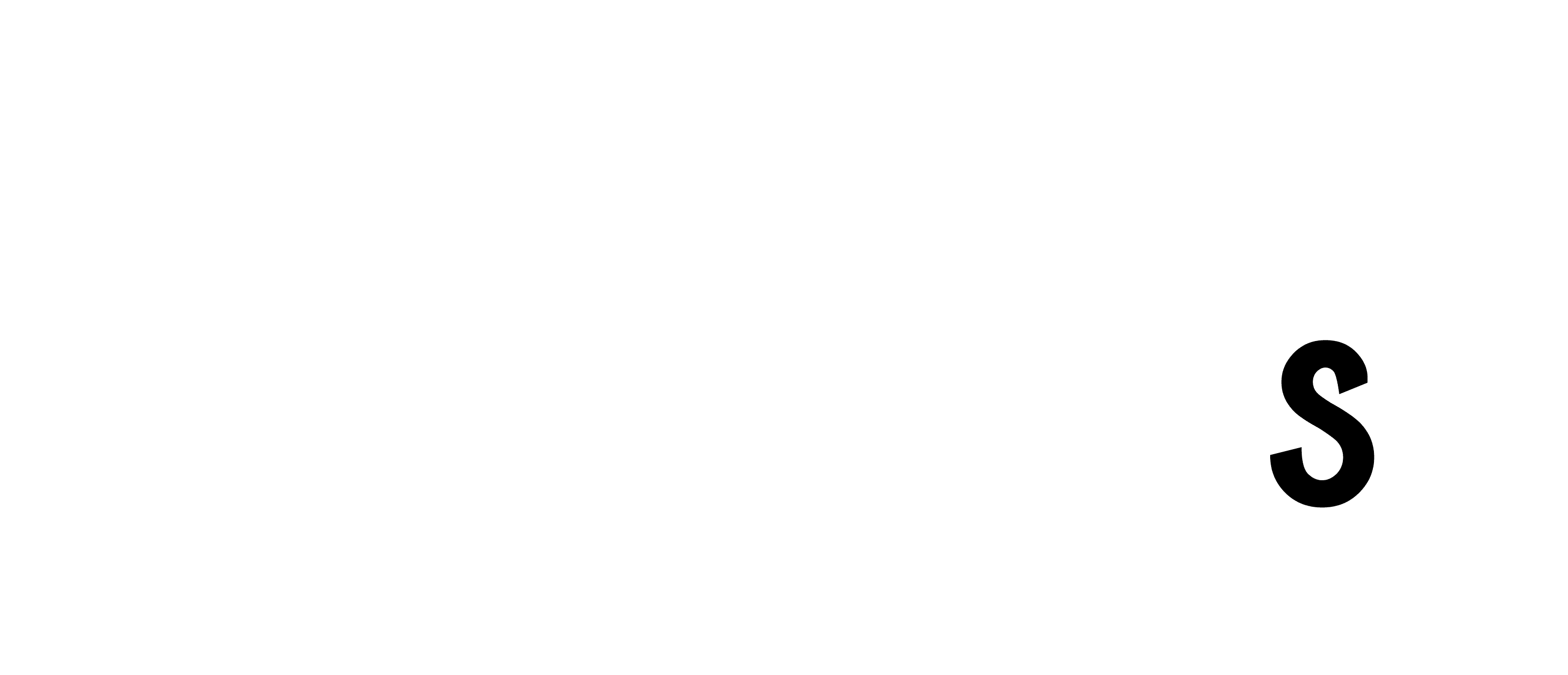 ctrl-s-logo